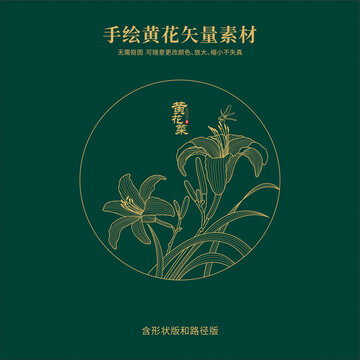 黃花菜