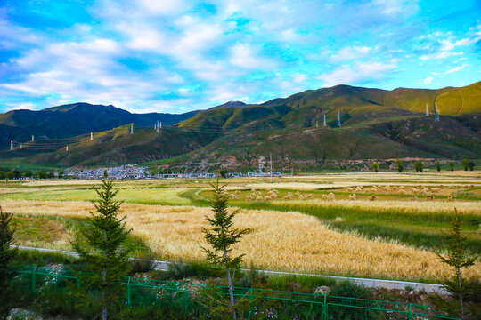 西藏风景