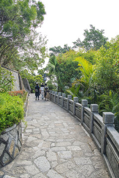 日光岩山上的石铺路与树木