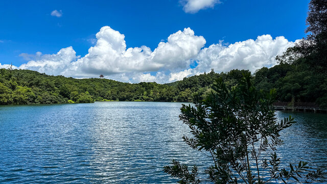 湖泊山景