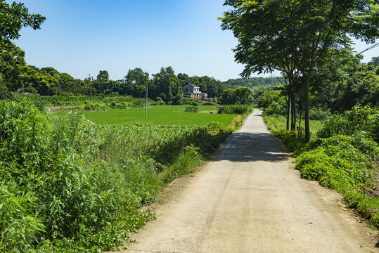 美丽乡村