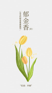 水彩手繪黃色郁金香