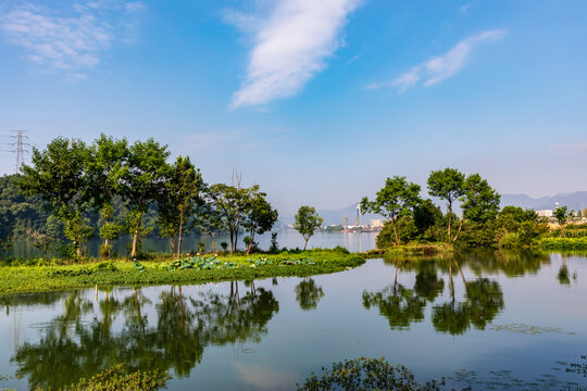 建德下涯湿地公园风光