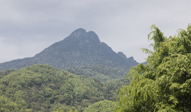 五指山