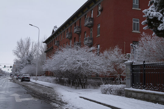 雪后的长春街景