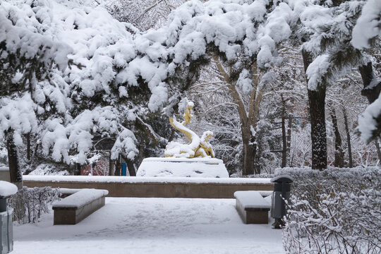 雪后的长春街心公园