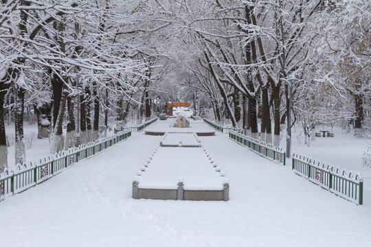 雪后的长春街心公园