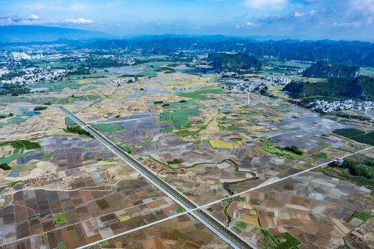 上林万亩垌水稻基地