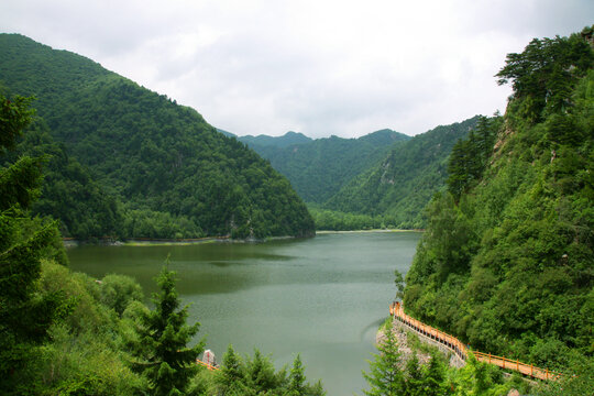 青海孟达天池