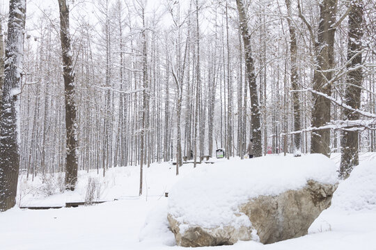 长春冬季雪景