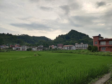 小山村