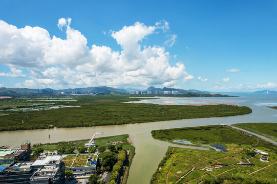 新洲河深圳河交汇入海口1