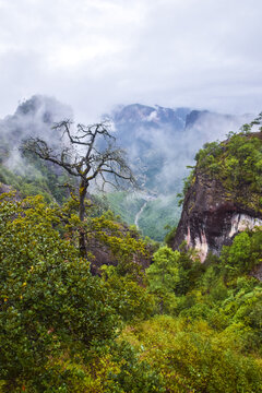 云南丽江老君山风光