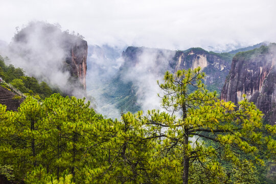 云南丽江老君山风光