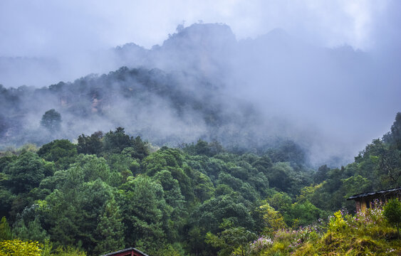 云南丽江老君山风光