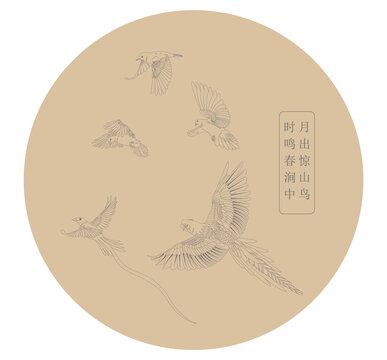 飛鳥群飛