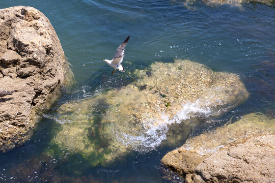 长岛海岛风光