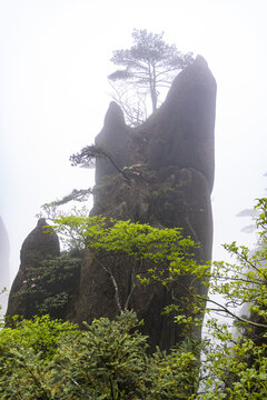 蓬莱三岛