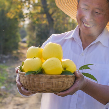 黄元帅苹果