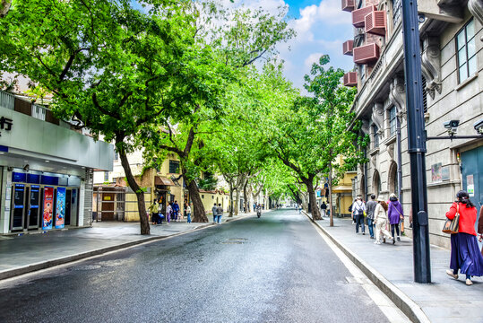 武康路街景