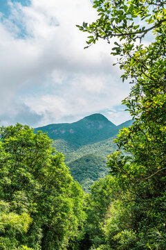 深圳马峦山郊野公园