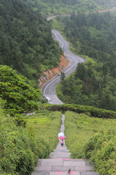 神龙架森林盘山公路