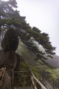 黄山风景