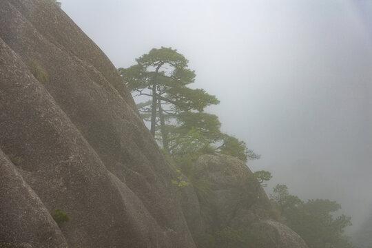 黄山风景