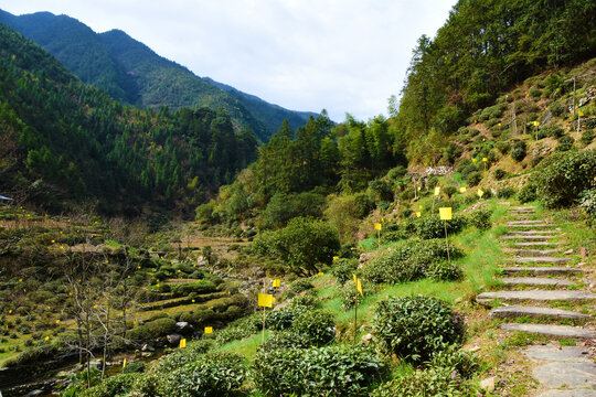 江西山道