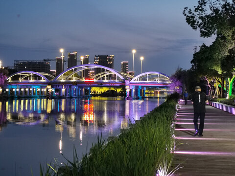 浦南运河夜景