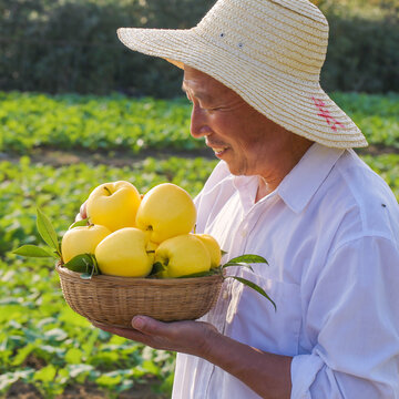 黄元帅苹果