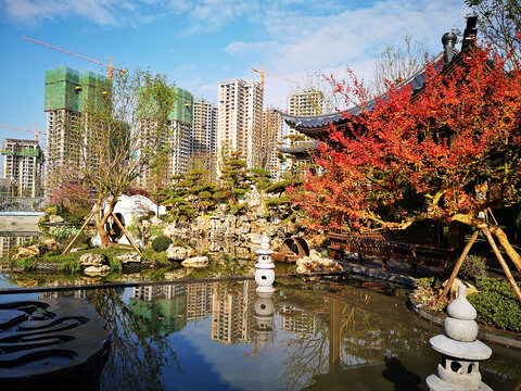 小区水景