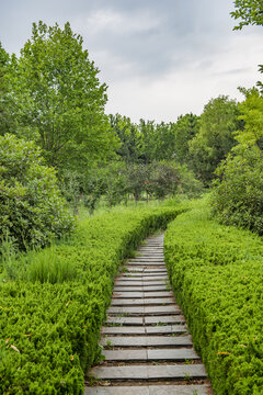 石板路