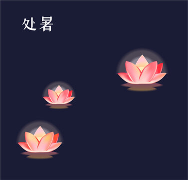 處暑荷花