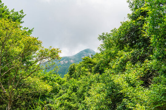 马峦山郊野公园景色