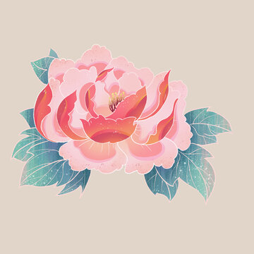 牡丹花插畫元素