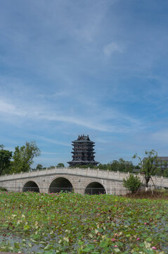 成都东安湖体育公园