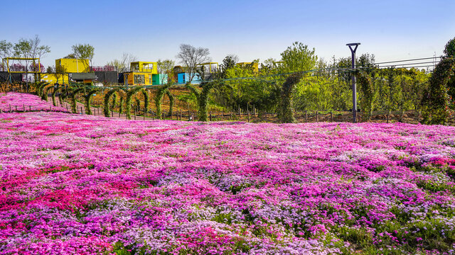 乡村旅游随拍休闲广场