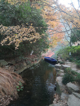 杭州九溪秋日的浪漫小船