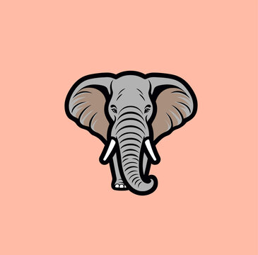 大象矢量插画
