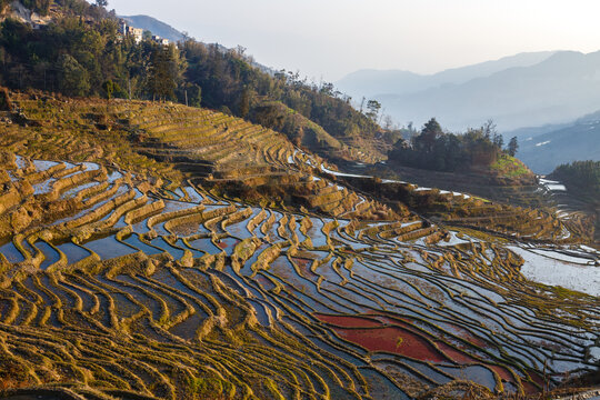 元阳梯田