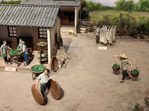 江南桑蚕养殖场景