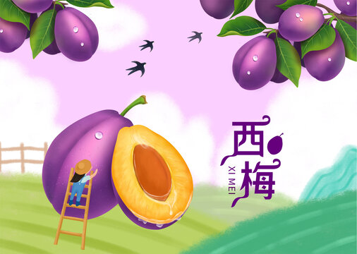 西梅包裝插畫