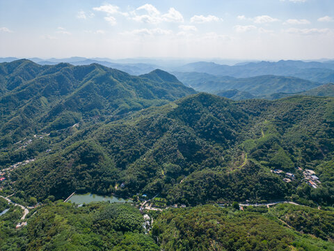 航拍山东药乡森林公园