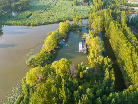 航拍滕州微山湖红荷湿地