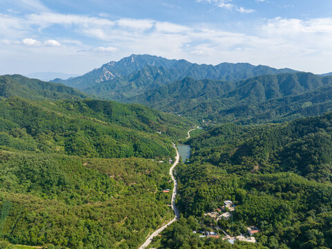 山东药乡森林公园