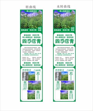 云杉詳情頁