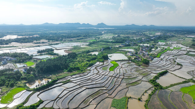 航拍乡村梯田