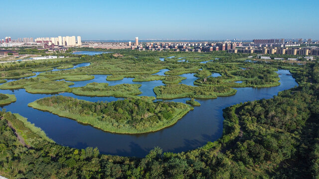 天津团泊湖湿地自然都市风光