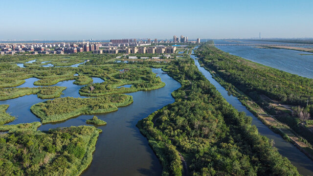 天津团泊湖湿地自然都市风光